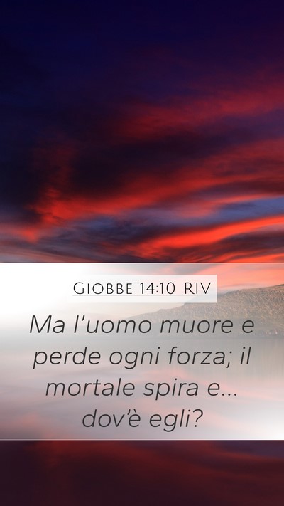 Giobbe 14:10 RIV Bible Verse Image
