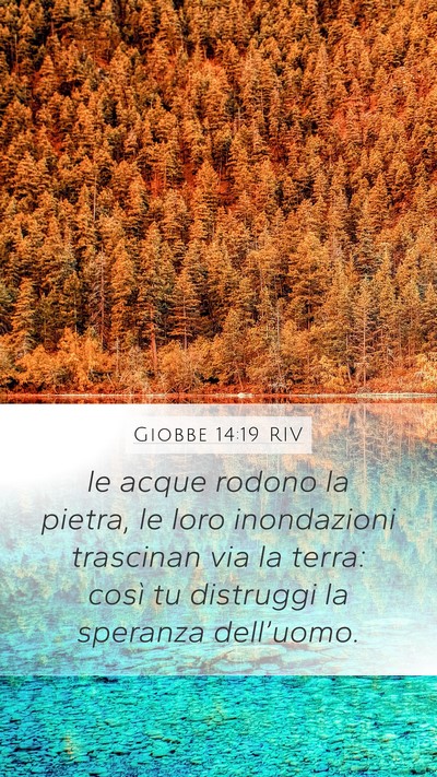 Giobbe 14:19 RIV Bible Verse Image