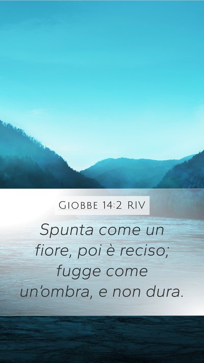 Giobbe 14:2 RIV Bible Verse Image