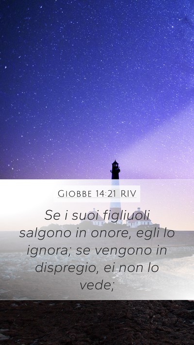 Giobbe 14:21 RIV Bible Verse Image