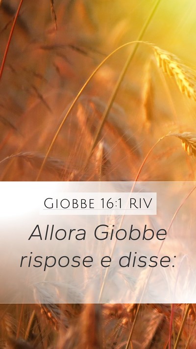 Giobbe 16:1 RIV Mobile Phone Wallpaper - Allora Giobbe rispose e - Mobile Bible Verse Wallpaper