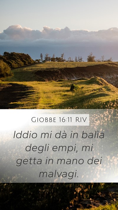 Giobbe 16:11 RIV Bible Verse Image