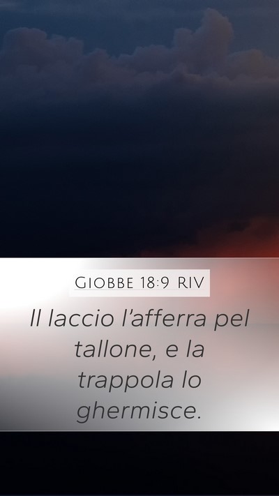 Giobbe 18:9 RIV Bible Verse Image