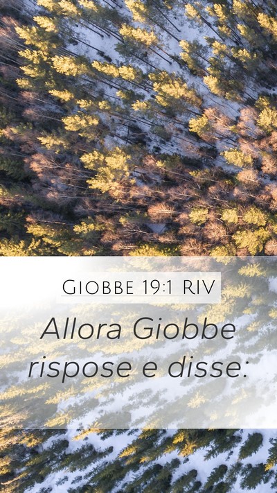 Giobbe 19:1 RIV Mobile Phone Wallpaper - Allora Giobbe rispose e - Mobile Bible Verse Wallpaper