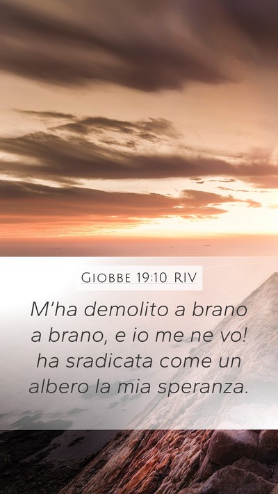 Giobbe 19:10 RIV Bible Verse Image
