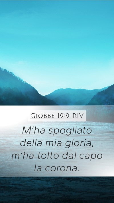 Giobbe 19:9 RIV Bible Verse Image