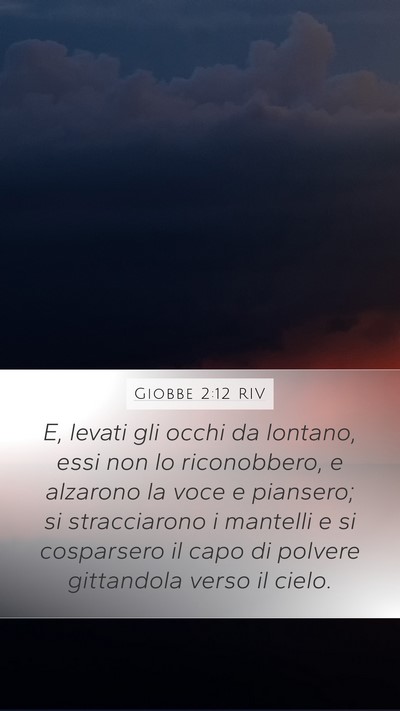 Giobbe 2:12 RIV Bible Verse Image