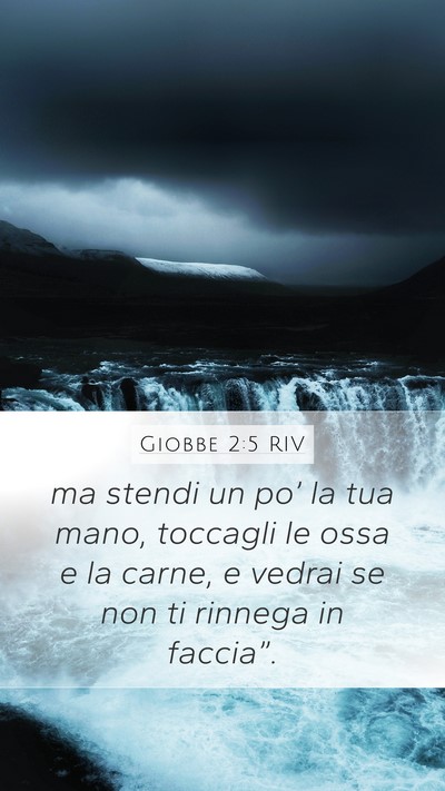 Giobbe 2:5 RIV Bible Verse Image