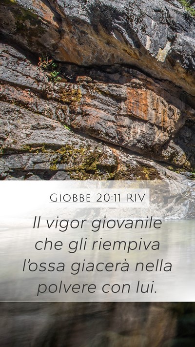 Giobbe 20:11 RIV Bible Verse Image