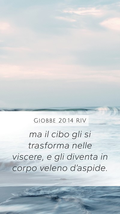 Giobbe 20:14 RIV Bible Verse Image