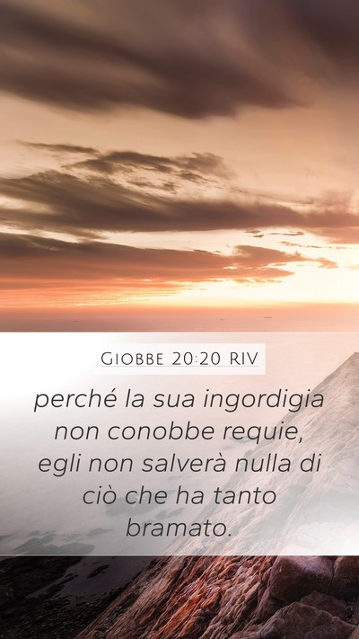 Giobbe 20:20 RIV Bible Verse Image