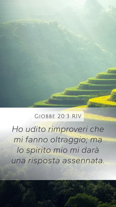 Giobbe 20:3 RIV Bible Verse Image
