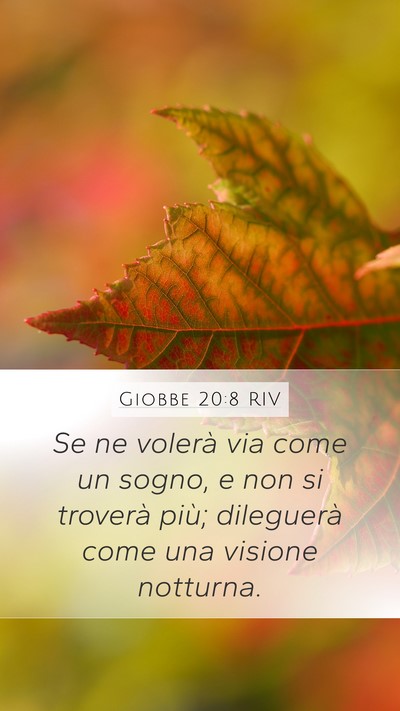 Giobbe 20:8 RIV Bible Verse Image