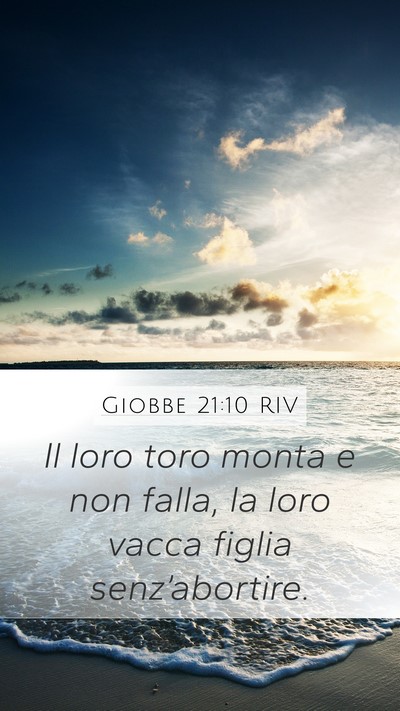 Giobbe 21:10 RIV Bible Verse Image