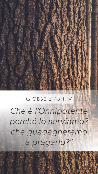 Giobbe 21:15 RIV Bible Verse Image