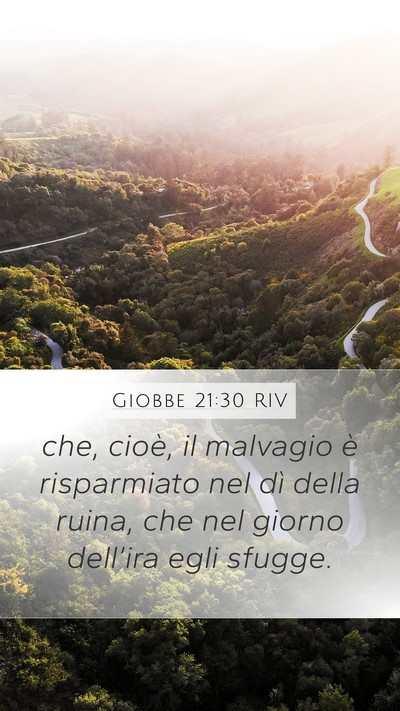 Giobbe 21:30 RIV Bible Verse Image