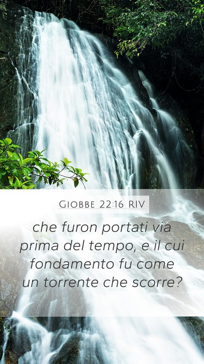 Giobbe 22:16 RIV Bible Verse Image