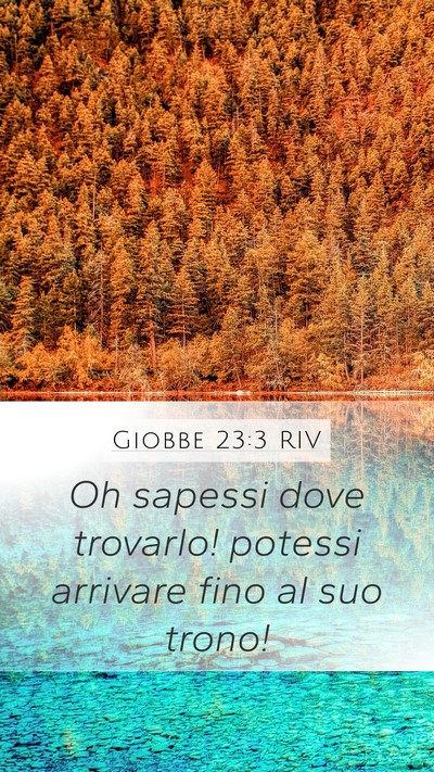 Giobbe 23:3 RIV Bible Verse Image
