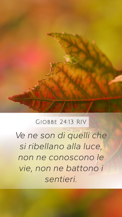 Giobbe 24:13 RIV Bible Verse Image