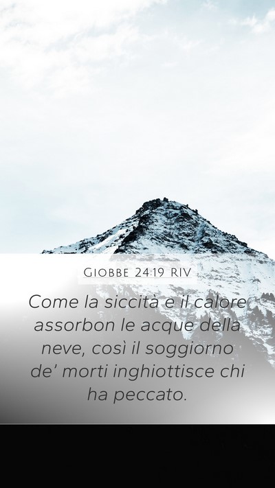 Giobbe 24:19 RIV Bible Verse Image