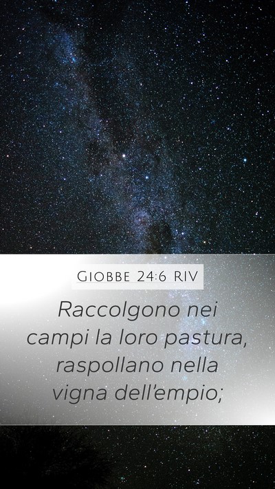Giobbe 24:6 RIV Mobile Phone Wallpaper - Raccolgono nei campi la loro pastura, raspollano - Mobile Bible Verse Wallpaper