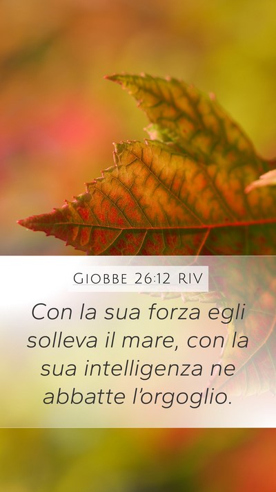 Giobbe 26:12 RIV Bible Verse Image