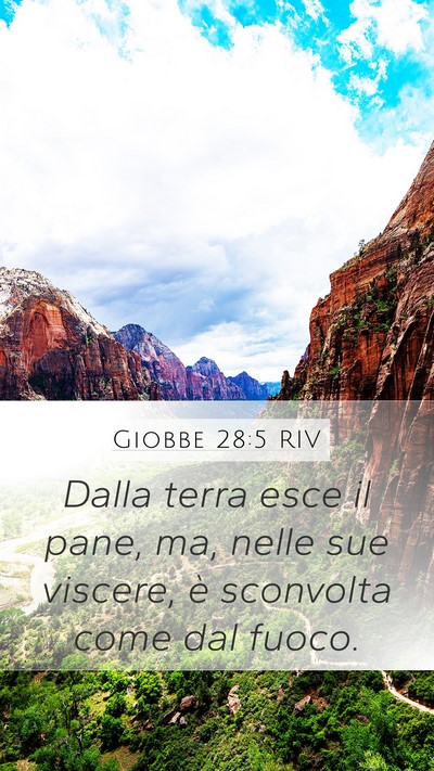 Giobbe 28:5 RIV Bible Verse Image