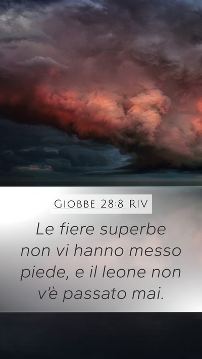 Giobbe 28:8 RIV Mobile Phone Wallpaper - Le fiere superbe non vi hanno messo piede, e il - Mobile Bible Verse Wallpaper
