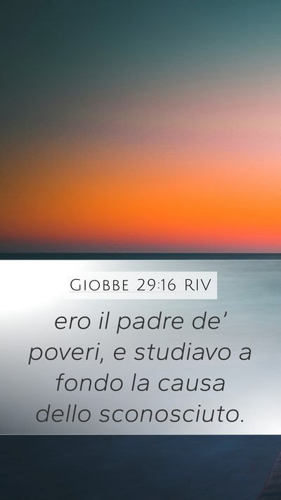 Giobbe 29:16 RIV Bible Verse Image
