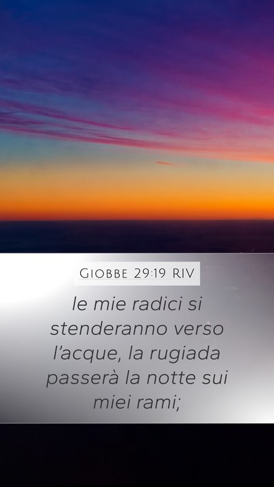 Giobbe 29:19 RIV Bible Verse Image