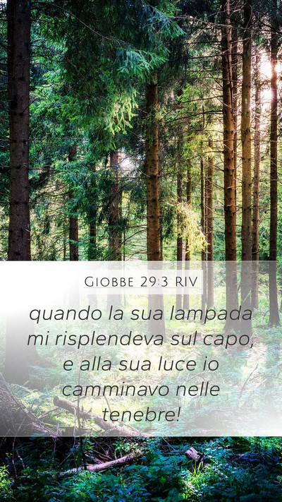 Giobbe 29:3 RIV Bible Verse Image