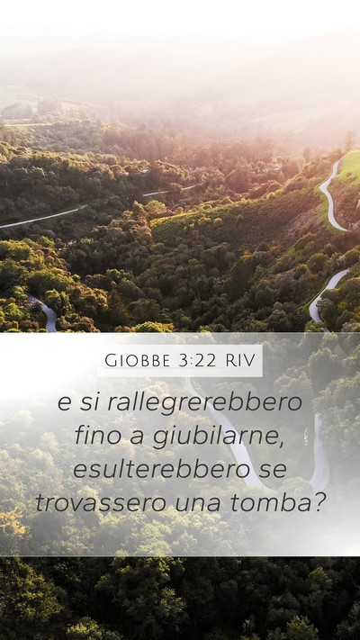 Giobbe 3:22 RIV Bible Verse Image