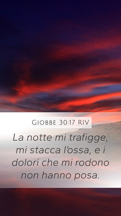 Giobbe 30:17 RIV Bible Verse Image