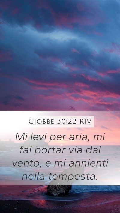Giobbe 30:22 RIV Mobile Phone Wallpaper - Mi levi per aria, mi fai portar via dal vento, e - Mobile Bible Verse Wallpaper