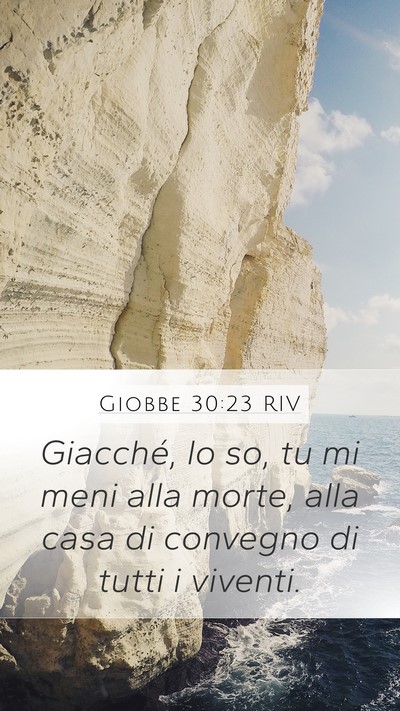 Giobbe 30:23 RIV Bible Verse Image