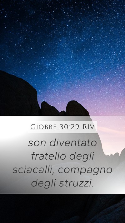 Giobbe 30:29 RIV Bible Verse Image