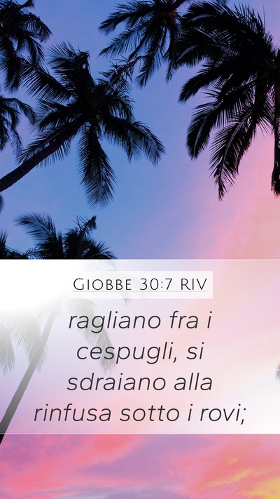 Giobbe 30:7 RIV Mobile Phone Wallpaper - ragliano fra i cespugli, si sdraiano alla rinfusa - Mobile Bible Verse Wallpaper