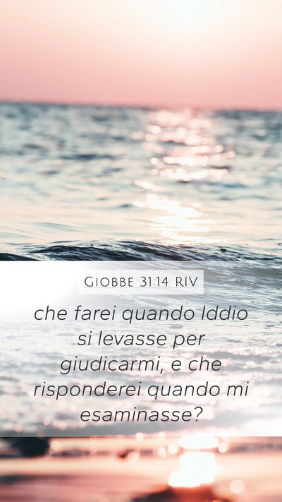 Giobbe 31:14 RIV Bible Verse Image