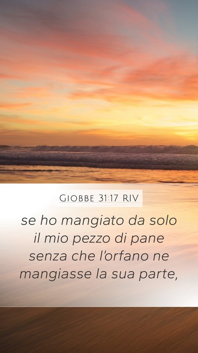 Giobbe 31:17 RIV Bible Verse Image