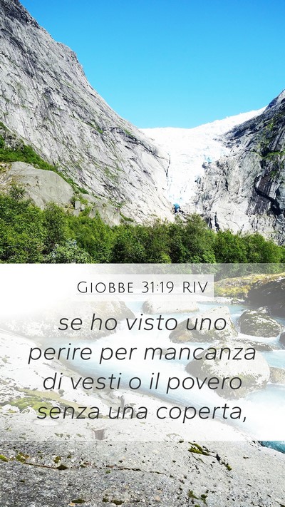 Giobbe 31:19 RIV Bible Verse Image
