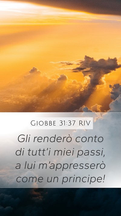 Giobbe 31:37 RIV Bible Verse Image