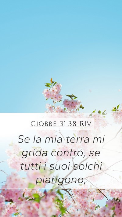 Giobbe 31:38 RIV Mobile Phone Wallpaper - Se la mia terra mi grida contro, se tutti i suoi - Mobile Bible Verse Wallpaper