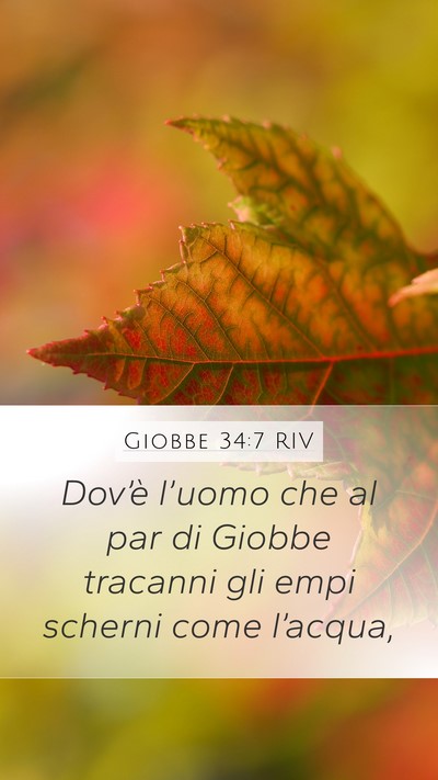 Giobbe 34:7 RIV Bible Verse Image