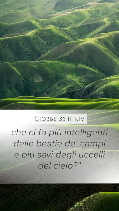 Giobbe 35:11 RIV Bible Verse Image