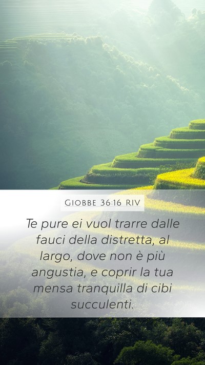 Giobbe 36:16 RIV Bible Verse Image
