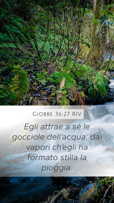 Giobbe 36:27 RIV Bible Verse Image