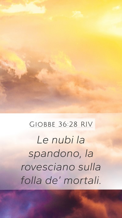 Giobbe 36:28 RIV Mobile Phone Wallpaper - Le nubi la spandono, la rovesciano sulla folla - Mobile Bible Verse Wallpaper