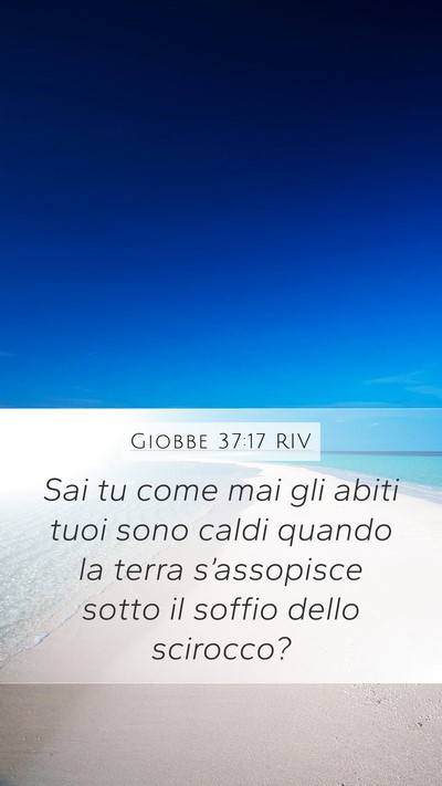 Giobbe 37:17 RIV Bible Verse Image