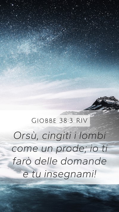 Giobbe 38:3 RIV Bible Verse Image