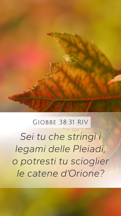Giobbe 38:31 RIV Mobile Phone Wallpaper - Sei tu che stringi i legami delle Pleiadi, o - Mobile Bible Verse Wallpaper